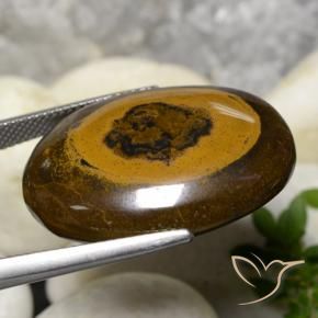 Ojo de Tigre Marrón cálido natural de 36.09 ct, Ovalada, Opaco
