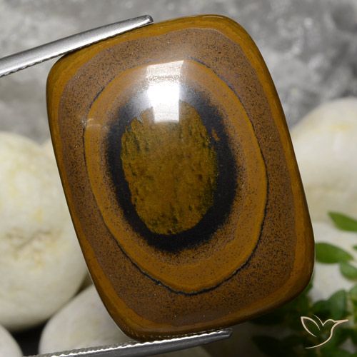 42.78ct Natural Marrón Ojo de Tigre, Forma Cojín, Opaco