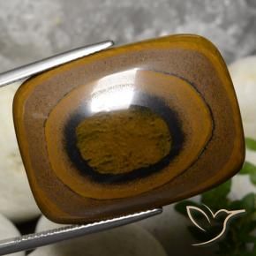 Ojo de Tigre Marrón natural de 42.78 ct, Forma Cojín, Opaco