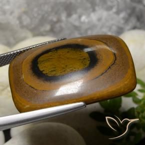 Ojo de Tigre Marrón natural de 42.78 ct, Forma Cojín, Opaco