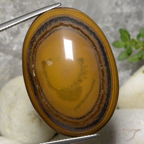 59.70ct Natural Marrón oscuro medio Ojo de Tigre, Ovalada, Opaco