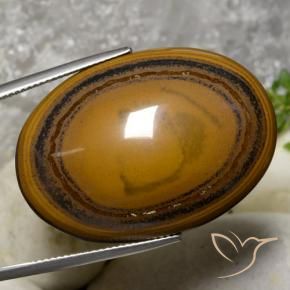 Ojo de Tigre Marrón oscuro medio natural de 59.70 ct, Ovalada, Opaco