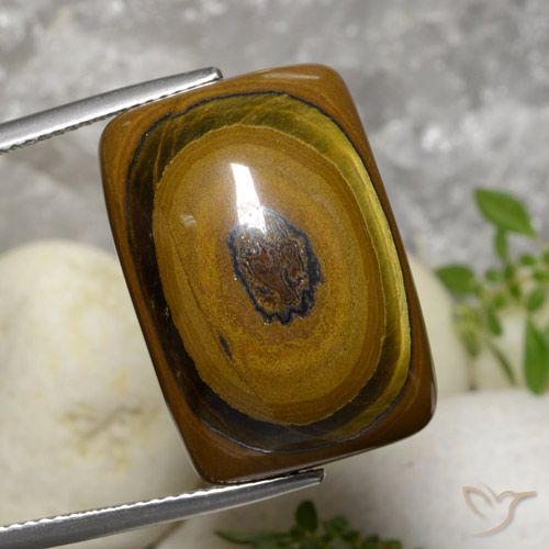 31.07ct Natural Marrón medio Ojo de Tigre, Forma Cojín, Opaco