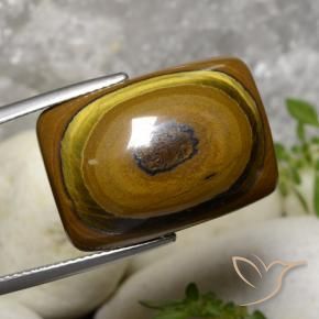Ojo de Tigre Marrón medio natural de 31.07 ct, Forma Cojín, Opaco