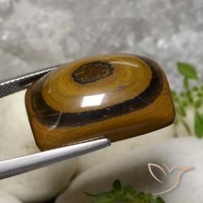 Ojo de Tigre Marrón medio natural de 31.07 ct, Forma Cojín, Opaco