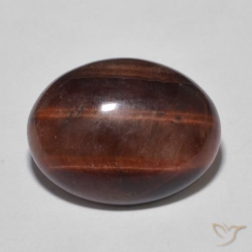 7.47ct Natural Marrón nuez Ojo de Tigre, Ovalada, Opaco