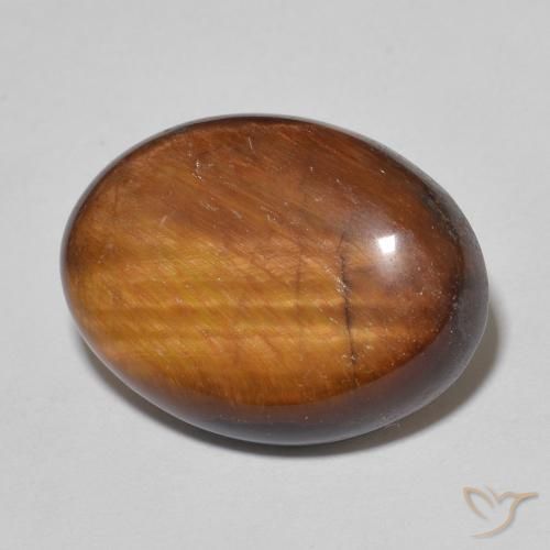 Ojo de Tigre Marrón cálido natural de 10.25 ct, Ovalada, Opaco