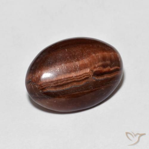 Ojo de Tigre Marrón cálido natural de 4.59 ct, Ovalada, Opaco