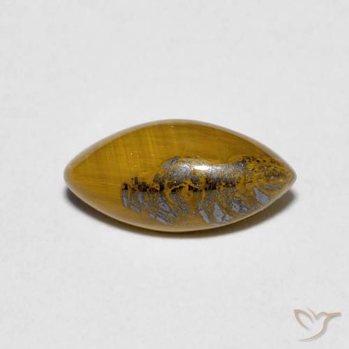 1.20ct Natural Medium Dark-Brown Ojo de Tigre, Marquesa, Opaco