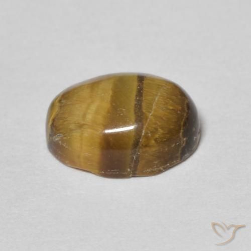 Ojo de Tigre Marrón cálido natural de 1.60 ct, Ovalada, Opaco
