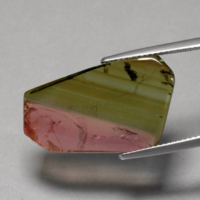 Turmalina multicolor natural de 12,07 ct, transparente, transparente / translúcido