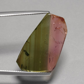 Turmalina multicolor natural de 12,07 ct, transparente, transparente / translúcido