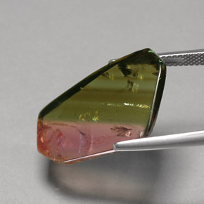 Turmalina multicolor natural de 12,07 ct, transparente, transparente / translúcido