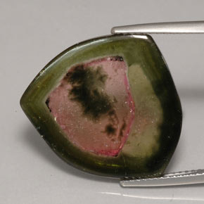 Turmalina multicolor natural de 12,35 ct, transparente, transparente / translúcido