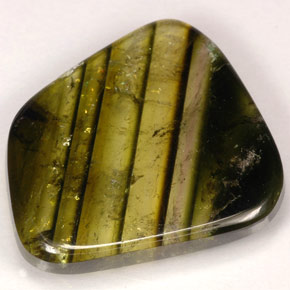 Turmalina multicolor natural de 9,21 ct, transparente, transparente / translúcido