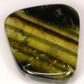 Turmalina multicolor natural de 9,21 ct, transparente, transparente / translúcido