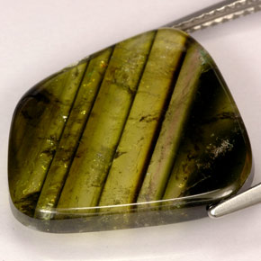 Turmalina multicolor natural de 9,21 ct, transparente, transparente / translúcido