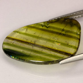 Turmalina multicolor natural de 4,72 ct, transparente, transparente / translúcido