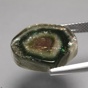 Turmalina multicolor natural de 10,79 ct, transparente, transparente / translúcido