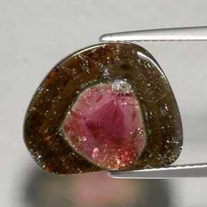 Turmalina multicolor natural de 6,79 ct, transparente, transparente / translúcido