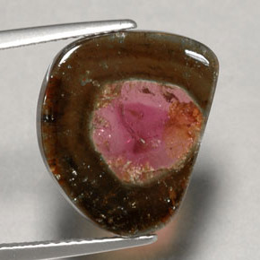 Turmalina multicolor natural de 6,79 ct, transparente, transparente / translúcido