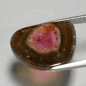 Turmalina multicolor natural de 6,79 ct, transparente, transparente / translúcido