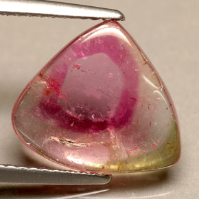 Turmalina bicolor natural de 3,30 ct, transparente, transparente / translúcido