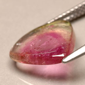 Turmalina bicolor natural de 3,30 ct, transparente, transparente / translúcido