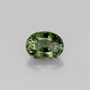 Turmalina verde natural de 1,01 ct, corte óvalo, VS