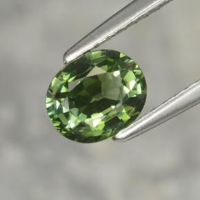 Turmalina verde natural de 1,02 ct, corte óvalo, VVS
