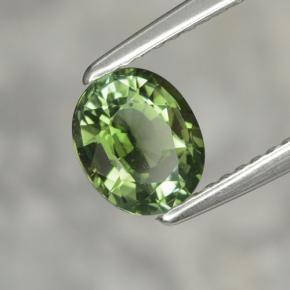 Turmalina verde natural de 1,02 ct, corte óvalo, VVS