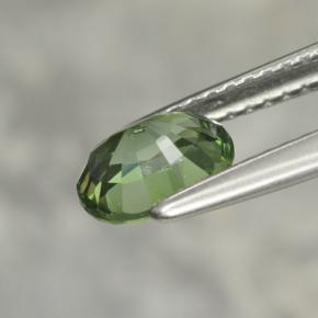 Turmalina verde natural de 1,02 ct, corte óvalo, VVS