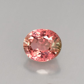 Turmalina multicolor natural de 1,18 ct, corte óvalo, VS