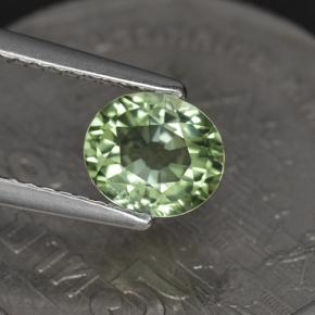 Turmalina verde natural de 1,00 ct, corte óvalo, VVS