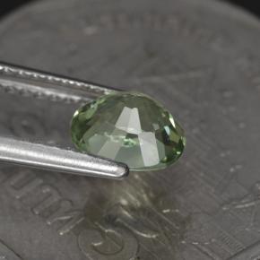 Turmalina verde natural de 1,00 ct, corte óvalo, VVS