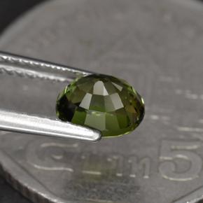 Turmalina verde natural de 1,23 ct, corte óvalo, VVS