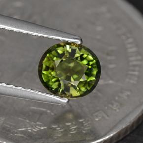 Turmalina verde natural de 1,05 ct, corte óvalo, VS