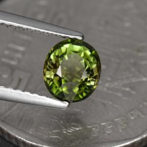 Turmalina verde natural de 1,05 ct, corte óvalo, VS
