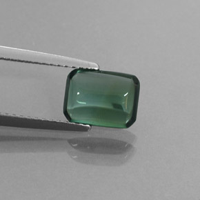 Turmalina verde natural de 1,69 ct, transparente, transparente / translúcido