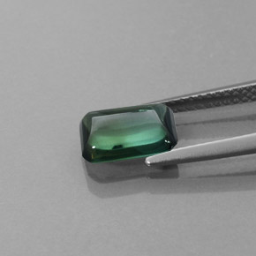 Turmalina verde natural de 1,69 ct, transparente, transparente / translúcido
