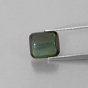 Turmalina verde natural de 1,66 ct, transparente, transparente / translúcido