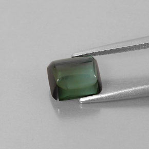 Turmalina verde natural de 1,66 ct, transparente, transparente / translúcido