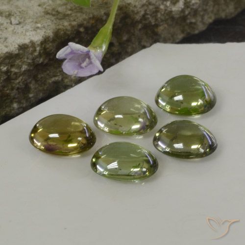 Gemas de Turmalina Multicolor natural de 5.25 ct, Ovalada, Transparente
