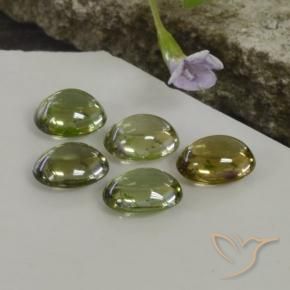 Gemas de Turmalina Multicolor natural de 5.25 ct, Ovalada, Transparente