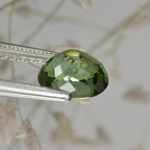 Turmalina verde natural de 1,17 ct, corte óvalo, VVS-VS