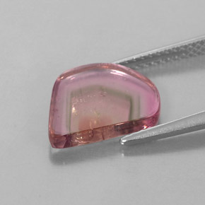 Turmalina multicolor natural de 2,74 ct, transparente, transparente / translúcido