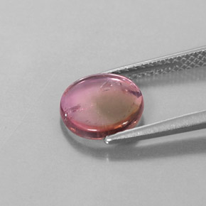Turmalina bicolor natural de 1,55 ct, forma elegante, transparente