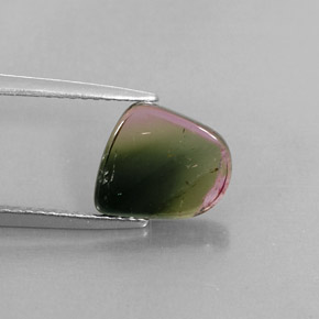 Turmalina multicolor natural de 2,24 ct, transparente, transparente / translúcido