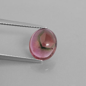 Turmalina multicolor natural de 3,33 ct, transparente, transparente / translúcido