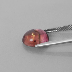 Turmalina multicolor natural de 3,33 ct, transparente, transparente / translúcido